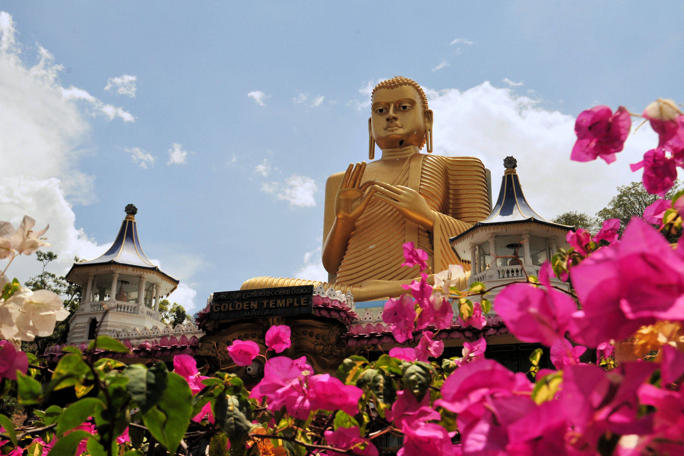 veyangoda (sri lanka) (3).webp